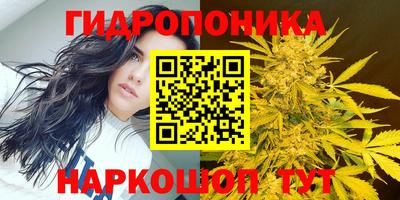ешки Бузулук