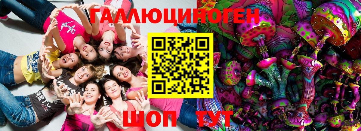 Галлюциногенные грибы Psilocybine cubensis Кубинка