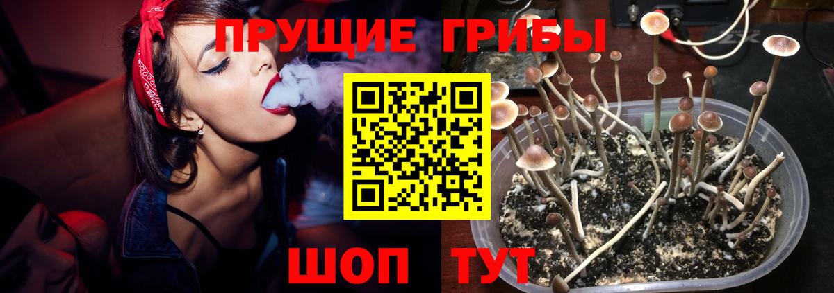 Псилоцибиновые грибы мицелий  цена наркотик  Кубинка  Вход с VPN 